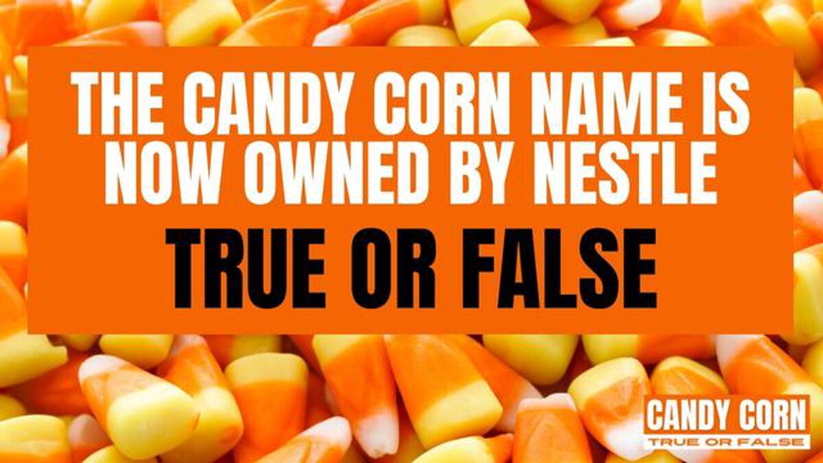 Candy Corn True Or False image number null